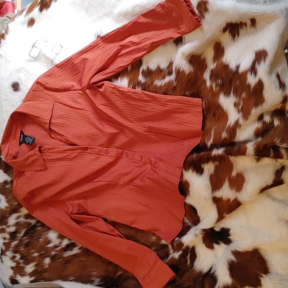 Rust Coloured Blouse Lindor Sz 16